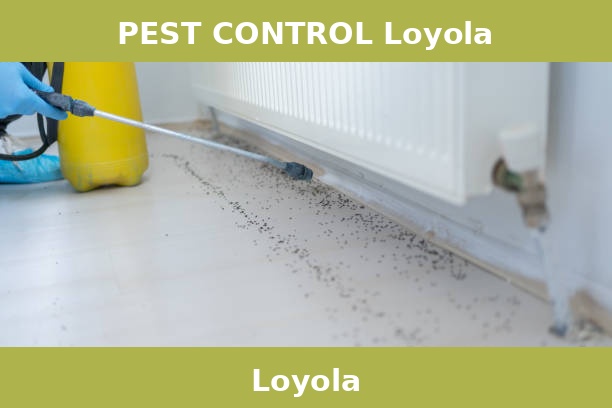 PEST CONTROL Loyola